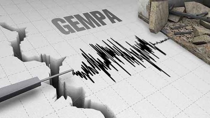Gempa Bumi tektonik 4.1 SR Mengguncang Manokwari, Tidak Berpotensi Tsunami