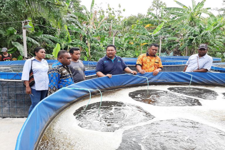 Anggota DPRD Manokwari Akan Dorong Pembudiyaan Ikan Dikolam Bioflok