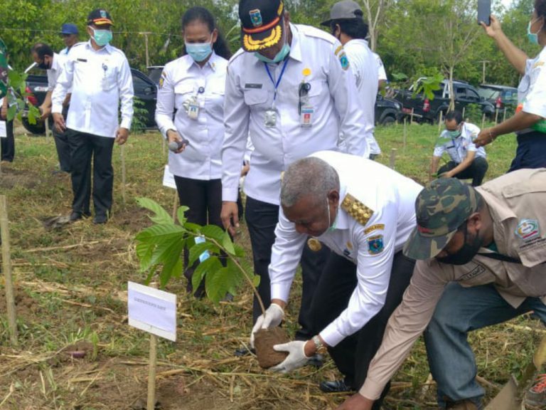 Gubernur Papua Barat Canangkan Tanam Bibit Unggul Kakao di Lahan Koperasi Ebersut Ransiki