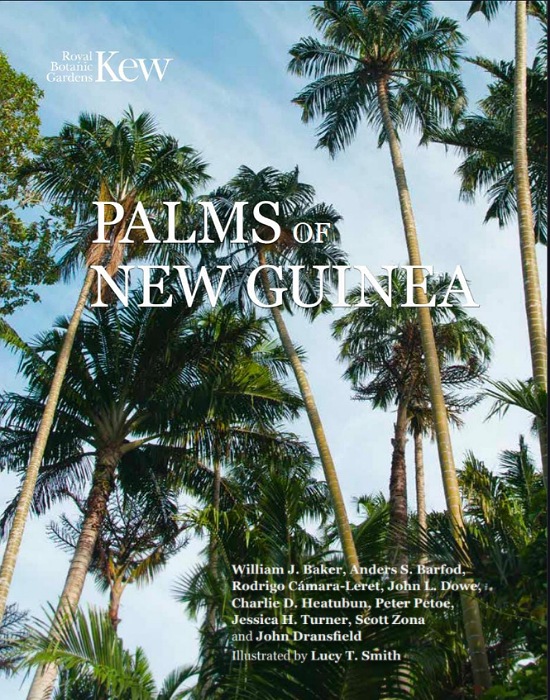 BRIDA Papua Barat Terbitkan Buku Palem di Niugini, Ada Pinang Jokowi, Dominggus Mandacan Hingga UNIPA